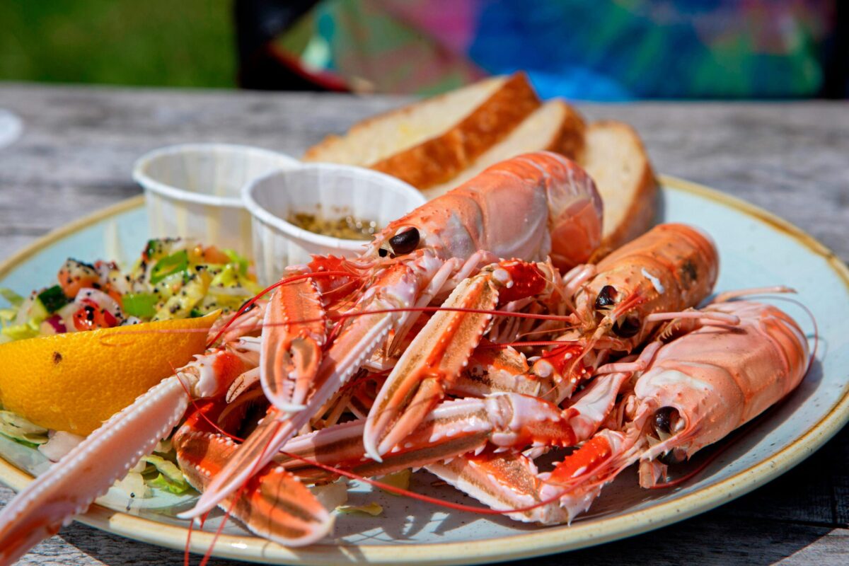 A plate of fresh Scottish langoustines