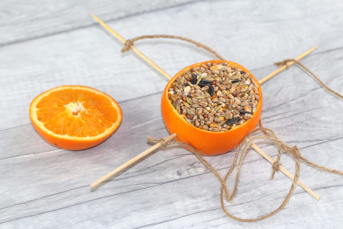 A homemade bird feeder made from a recycled bottle