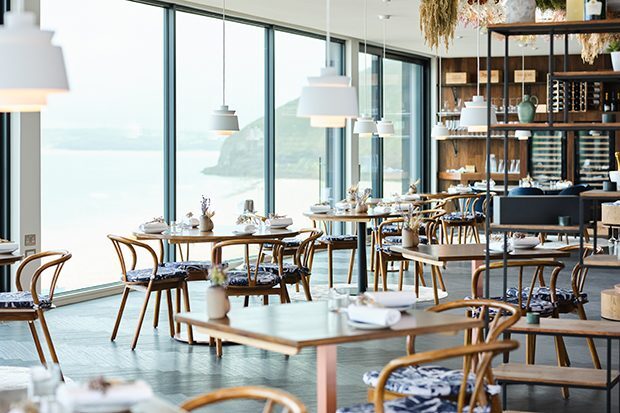 Elegant seafood dish presentation